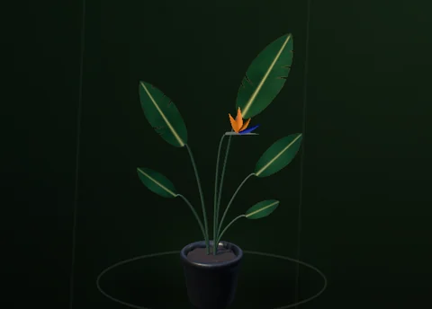 Actual RealityKit Bird of Paradise plant