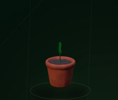 Actual Monstera at its seeded stage