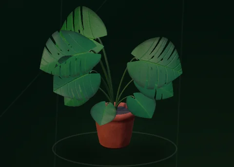 Actual RealityKit Monstera plant