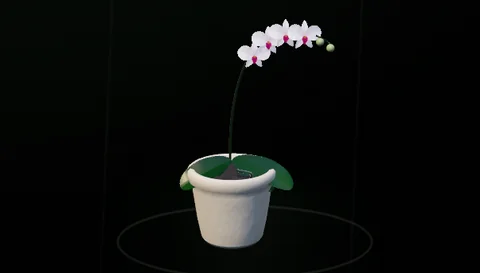 Actual RealityKit Moth Orchid plant