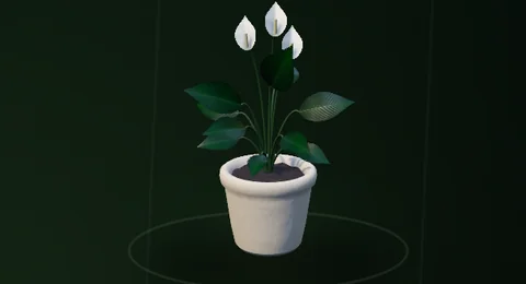 Actual RealityKit Peace Lily plant