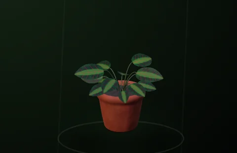 Actual RealityKit Prayer Plant plant