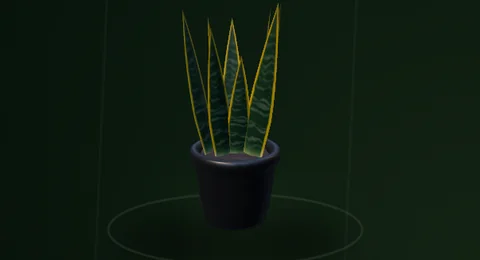 Actual RealityKit Snake Plant plant